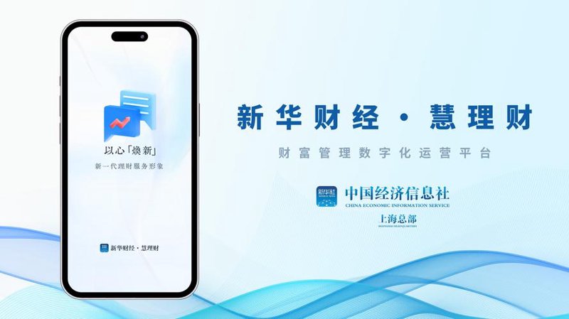 金融软件开发：推动行业变革的新引擎